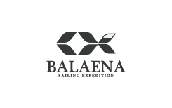 Balaena
